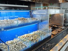 -济南凯宾斯基酒店-THE VIEW云景全日制餐厅
