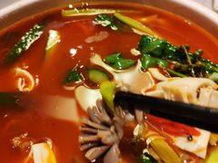 -陈麻婆豆腐总店