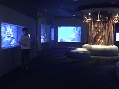 -太平洋影城(紫荆店)