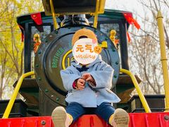 -西青郊野公园
