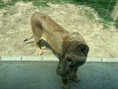 -北京野生动物园