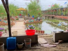 -同銮特种养殖场·龙虾垂钓