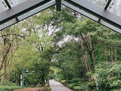-南京老山国家森林公园