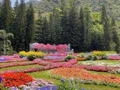-深圳仙湖植物园