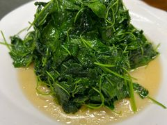 -协和菜馆(凤凰街店)