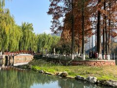-温江公园