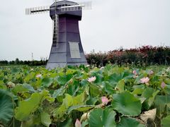 -武汉紫薇都市田园