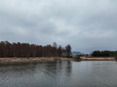 -余姚四明湖开元名都度假酒店·夏威夷西餐厅