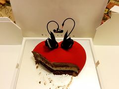 -BLACKSWAN黑天鹅(环球店)