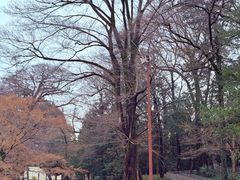 -井之头恩赐公园