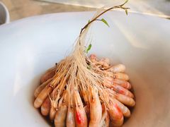 糟醉白米虾-三利音·浦之舟(滨江大道店)