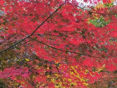 -崂山九水游览区