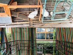 -成都安仁福朋喜来登酒店