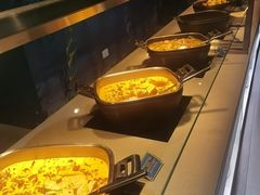 -新加坡飞禽公园
