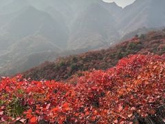 -水峪民俗村