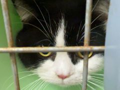 -瑞派康怡24h宠物医院·犬猫医疗中心·微创绝育(瑞景分院)