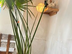 -野草莓自由市场