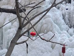 -黑龙潭风景区