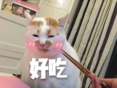 -京馔手工吐司(万达广场济南高新店)