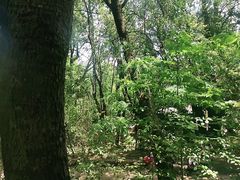 -蝴蝶泉公园