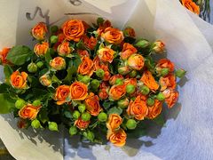 -循礼门鲜花花市(武汉循礼门店)