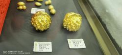 -中国黄金(北京旗舰店)