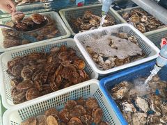 -老太太海鲜城(森林公园任家台店)
