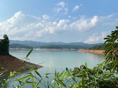 -广州市流溪河国家森林公园