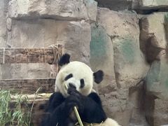 -无锡动物园·太湖欢乐园