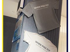 -WHEN PIGS FLY当猪飞