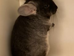 -龙猫仔乐园(惠福东路店)