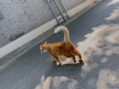 -北京市东四九条小学