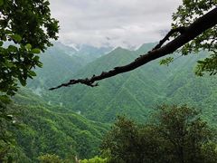 -陕西省红河谷森林公园