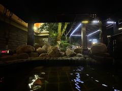 -宜春明月山维景国际温泉度假酒店
