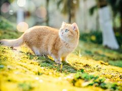 -重庆中央公园(渝北区)