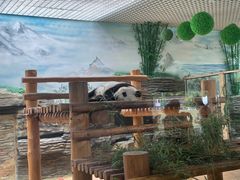 -西霞口神雕山野生动物世界