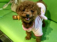 -唯爱KTV聚会餐厅(仙林东城汇店)