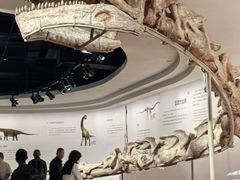 -自贡恐龙博物馆