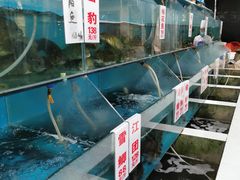 水产区-高坎一品甲鱼庄(两河店)