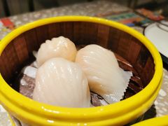 金香汇虾饺皇-金香匯晚茶(浑南店)