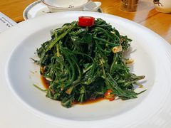 苦菜沙葱拼-十二毡房蒙餐·蒙古包