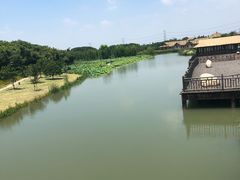 -乌村