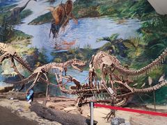 -自贡恐龙博物馆