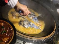 -好灶头妈妈菜·柴火灶台鱼·千岛湖土菜地标美食