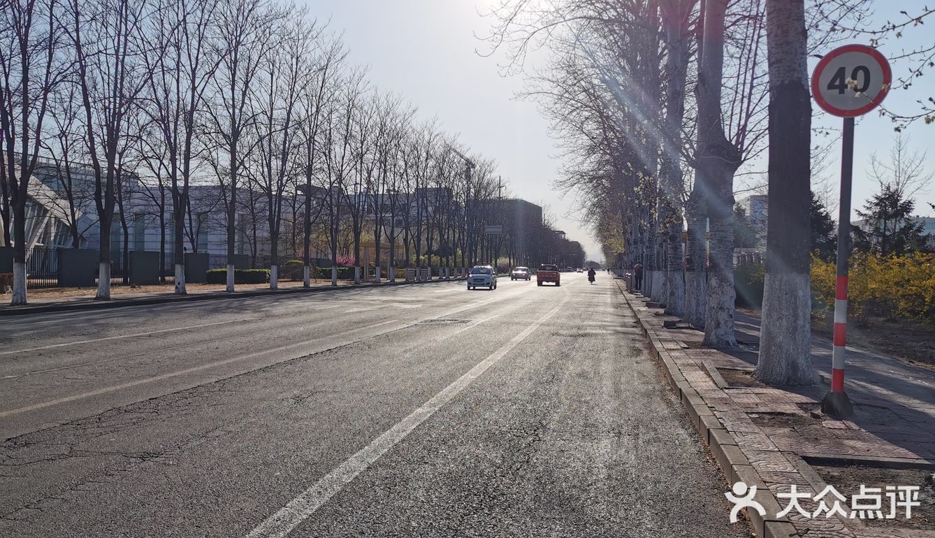 【裕美路 金灿灿的春天】