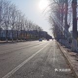 【裕美路 金灿灿的春天】