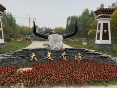 -武清南湖绿博园