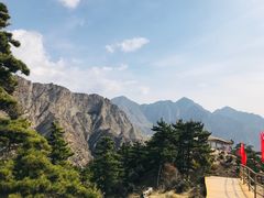 -迎宾楼(解放西街店)