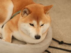 -三目仓咖啡(贤南路店)