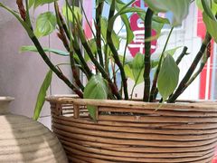 -小泉居(水坑尾店 )
